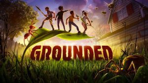 Grounded - Offline Mode